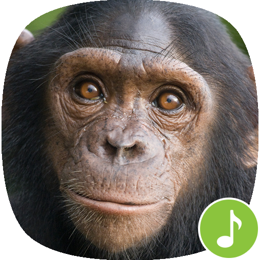 Appp.io - Chimpanzee sounds icon