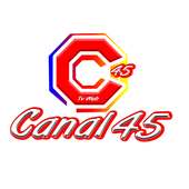 TVCanal 45
