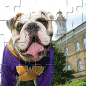 Dog Puzzles أيقونة