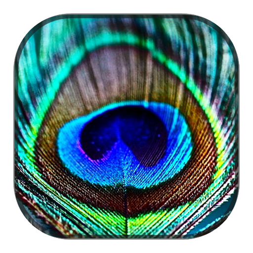 Peacock Wallpaper icon