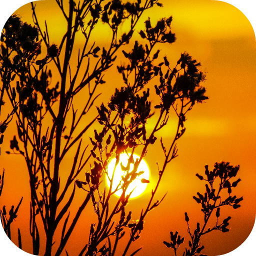 Sunset Wallpapers icon