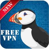 Puffin vpn blocker