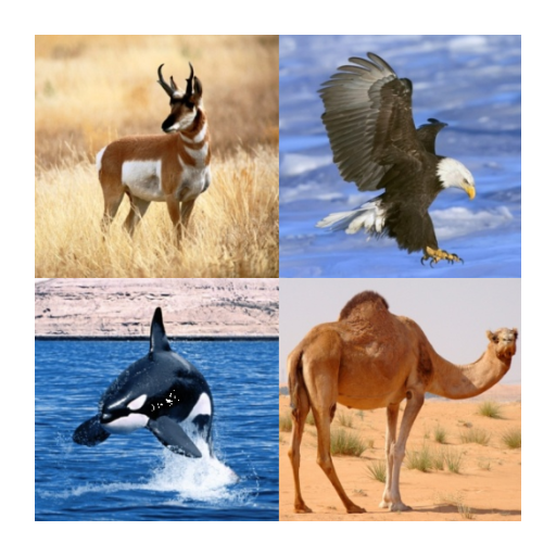 Guess The Animal -  Quiz icon