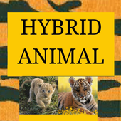 Hybrid Animal icon