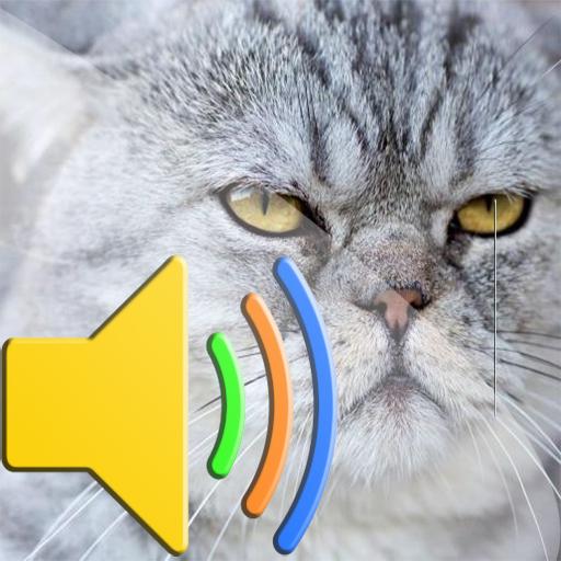 Cat Sounds icon