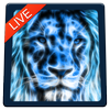 Lion Magic Touch Live wallpaper 2018 icon