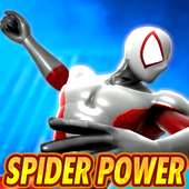 Spider Power 2019