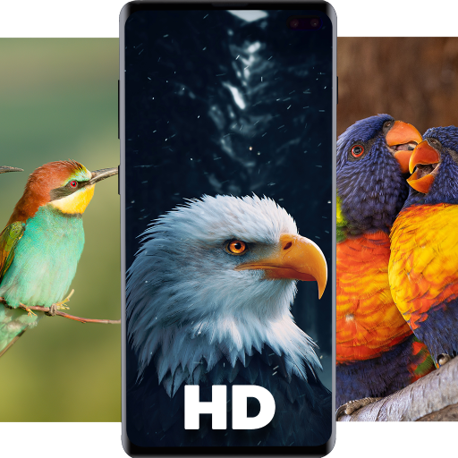 Birds Wallpapers HD - Parrot Wallpaper-Eagle Walls icon