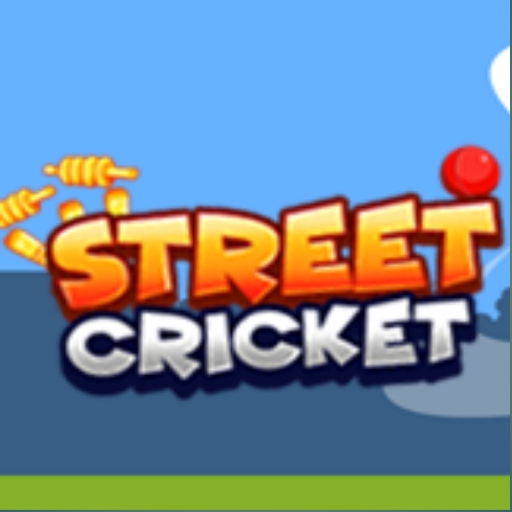 Street cricket game 2022 icon