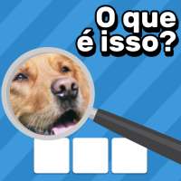 Zoom Quiz: Jogo de Imagens