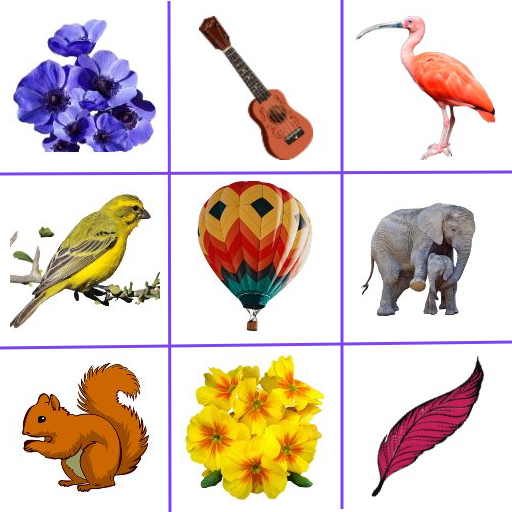 Picture Match Brain Game icon