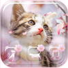 Sakura Kitty Theme Wallpaper иконка