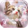 Sakura Kitty Theme Wallpaper on 9Apps
