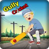 Gully Cricket Pro
