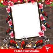 Wilson's Bird of Paradise Insta DP on 9Apps