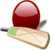 Hit Cricket - World Fastest Cricket Match Game