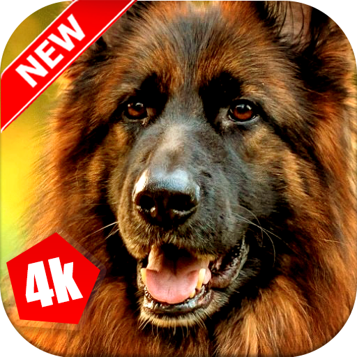 German Shepherd Wallpaper: Dog Wallpapers icon
