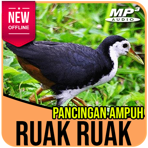 Suara Pemikat Burung Ruak Ruak Paling Ampuh icon