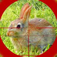 Sniper Rabbit Hunting 3D