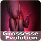 Grossesse Evolution on 9Apps