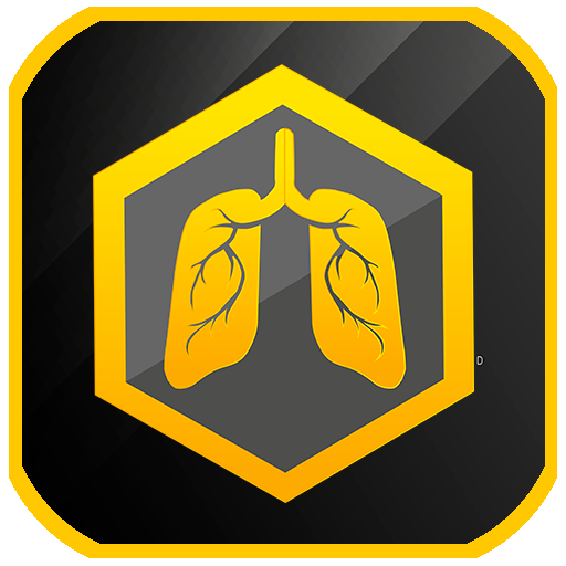 Тренировки на выносливость - Mr. Stamina icon