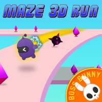 Maze 3D Run