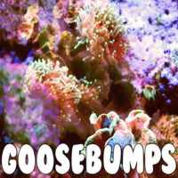 Goosebumps - Travis Scott on 9Apps