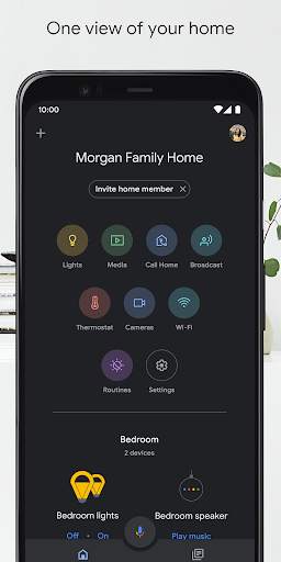 Google Home screenshot 2