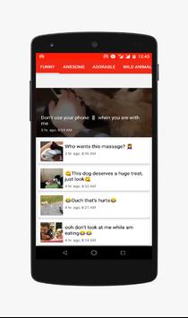 Funny Animals-Video screenshot 4