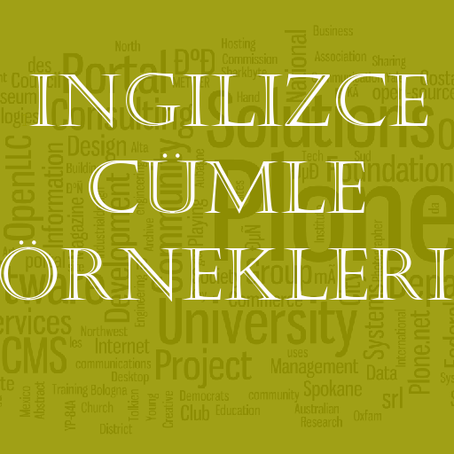İngilizce Örnek Cümleler icon