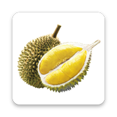 Durian Runtuh 5 icon