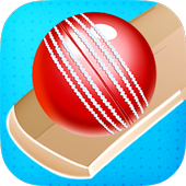 Cricket Bat Ball Hit 3D icon