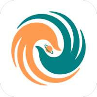 IP Tvtap Download Firestick Pro 2020