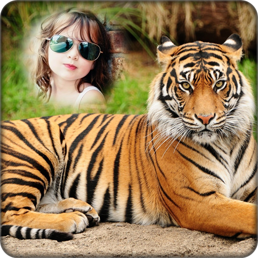 Tiger Photo Frame icon