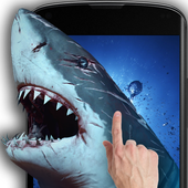 Shark Attack icon
