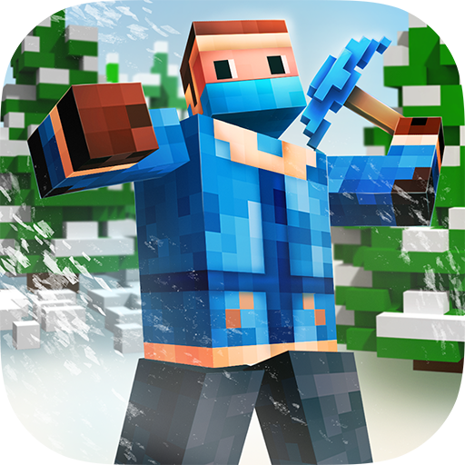 Survival 3D Winter Block icon