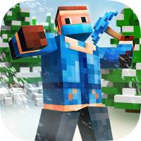 Survival 3D Winter Block