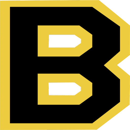 Bintoe Bingo(No Ads) icon