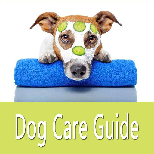 Taking Care of Pets (Dog) Tips icon