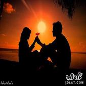 Love Songs (without Net) أيقونة