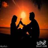 Love Songs (without Net)