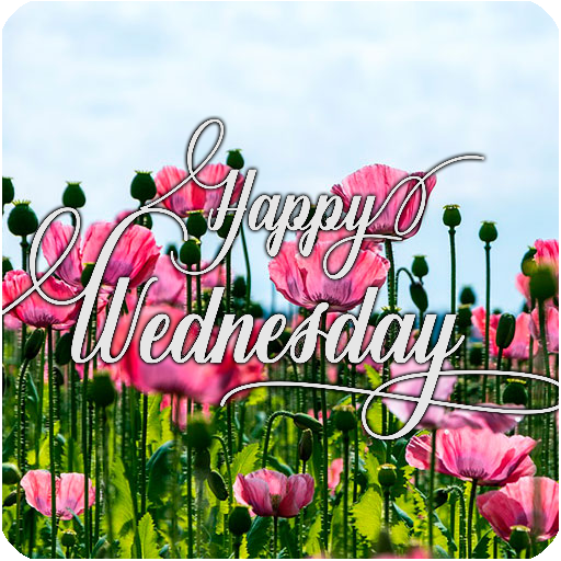 SMILE, IT'S A GREAT WEDNESDAY icon