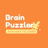 Brain Puzzler