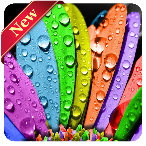 Cool Wallpapers icon