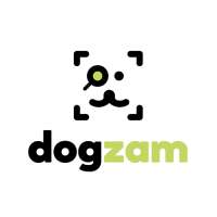 Dogzam on 9Apps
