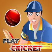 Play Cricket icon