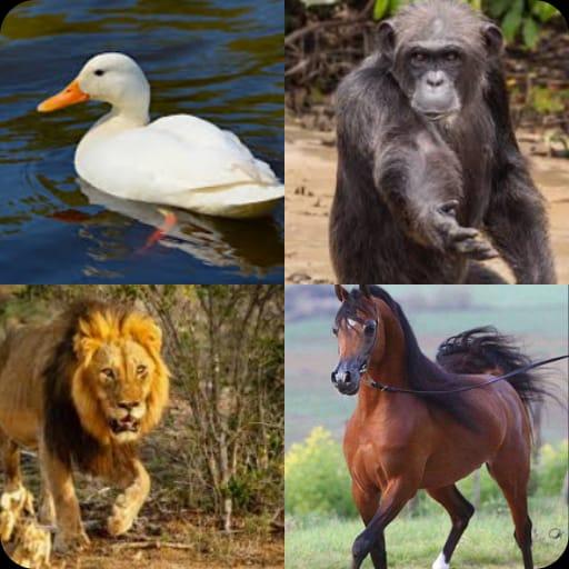 ikon Guess the Animals