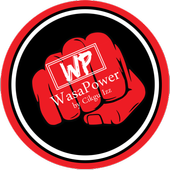 WasaPower Marketing icon