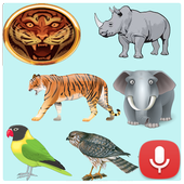 Animal Bird Voice icon