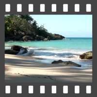 The Beach Video LWP
